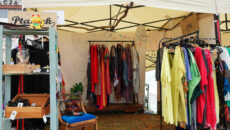 Stoisko marki Ptaszek